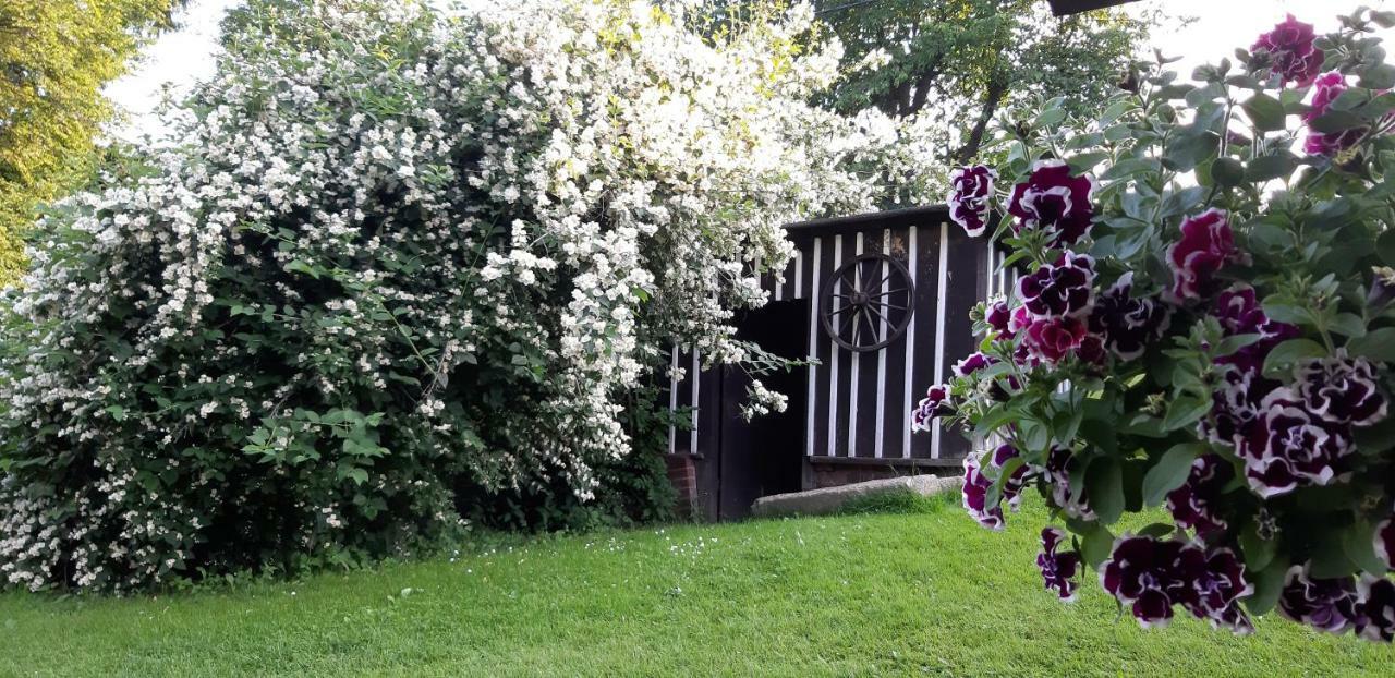Ubytovani Monika Paseky nad Jizerou Exterior foto
