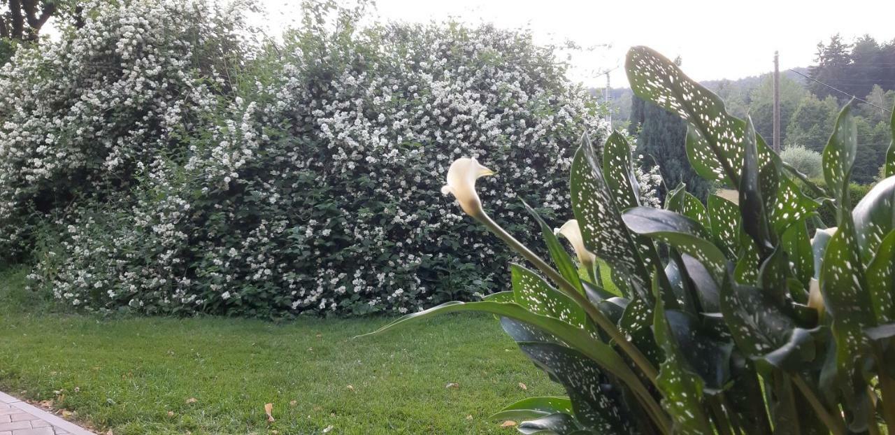 Ubytovani Monika Paseky nad Jizerou Exterior foto